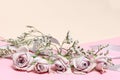Vintage roses and white flowers on the pink background Royalty Free Stock Photo