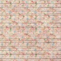 Vintage roses on wood background in pinks