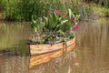 Vintage rowboat filled with flowers and tropical plants floating on pond with reflection in water Royalty Free Stock Photo