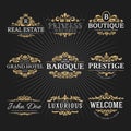 Vintage Royal Flourish Frame Logo Decorative Design Royalty Free Stock Photo