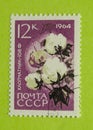 Vintage Russia postage stamp