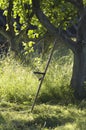 Vintage russian scythe is near the apple-tree