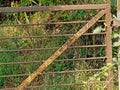 Vintage Rusted Mild steel Fence Against Gree Grass and Plants At The Musai Village