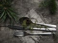 Vintage rustic cutlery set with country style napkin and Christmas decoration - fir tree brunch, cone on wooden background. Copy Royalty Free Stock Photo