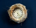 vintage rusty clock in a bird nest one black background Royalty Free Stock Photo