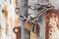 Vintage rusty gate with locked master key and chain Royalty Free Stock Photo