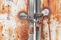 Vintage rusty gate with locked master key and chain Royalty Free Stock Photo