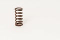 Vintage Rusty Spring Royalty Free Stock Photo