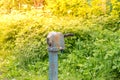 Vintage rusty water fountain hand pump in russian village. Abandoned water wellhead Royalty Free Stock Photo