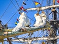 Vintage sailing ship mast ropes and tackle, Tall ship rigging mast detail, blue sky background Royalty Free Stock Photo