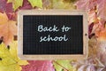 Vintage school blackboard on the multicolored maple leaves background Royalty Free Stock Photo