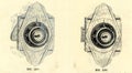 Vintage School Lock samples