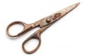 Used scissors isolated on white background Royalty Free Stock Photo