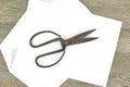 Vintage Scissors Royalty Free Stock Photo