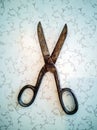 Vintage scissors on wooden background Royalty Free Stock Photo