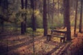 Vintage, scratched photo of a bench in the park