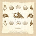 Vintage sea shell silhouettes set