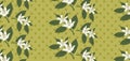 Vintage seamless floral pattern, citrus blossoming branches and polka dots on greenish yellow background. Repeat surface design Royalty Free Stock Photo