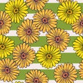 Vintage seamless pattern with contoured sunflowers elements. Green and grey striped background Royalty Free Stock Photo