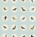 Vintage seamless pattern with cute little birds