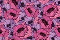 Vintage seamless pattern. Design poppy flowers. Royalty Free Stock Photo