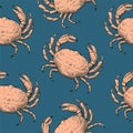 Vintage seamless pattern with hand drawn crabs in sketch engraving style. Se food print for textile and wrapping paper. Royalty Free Stock Photo