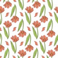 Vintage seamless pattern with pink tulips flowers and leaves on white Royalty Free Stock Photo