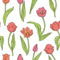 Vintage seamless pattern with pink tulips flowers and leaves on white Royalty Free Stock Photo