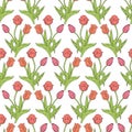 Vintage seamless pattern with pink tulips flowers and leaves on white Royalty Free Stock Photo