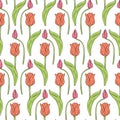 Vintage seamless pattern with pink tulips flowers and leaves on white Royalty Free Stock Photo