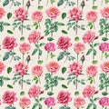 Vintage seamless pattern. Roses, Flower watercolor. flora design Royalty Free Stock Photo