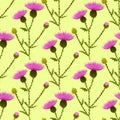 Vintage seamless pattern with thistle flowers