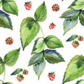 Vintage seamless wallpaper with retro image of elegant raspberry with leaves