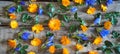 Vintage seasonal autumn background. Autumn yellow and blue flowers and leaves on a wooden background Royalty Free Stock Photo