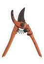 Vintage hand pruner 