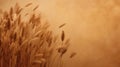 Luxurious Still Life: Tattered Grass On Yellow Background