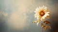 Vintage Sepia-toned Sunflower: Minimalist Uhd Image With Spectacular Backdrops