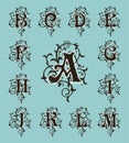 Vintage set capital letters, floral Monograms and filigree font. Royalty Free Stock Photo