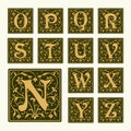 Vintage set capital letters, Monograms and font Royalty Free Stock Photo