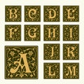Vintage set capital letters, Monograms and font Royalty Free Stock Photo