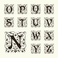 Vintage set capital letters, Monograms and font Royalty Free Stock Photo
