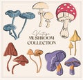 Vintage set with cute colorful mushrooms. Retro bright mushrooms are isolated on beige. Hand drawn collection for fall season