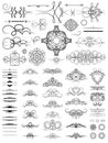 Vintage set decor elements. Elegance old hand drawing set. Ornate swirl leaves, label, curved lines and decor elements in vector.