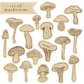 Vintage set of different hand drawn mushrooms in