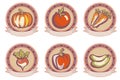 Vintage set labels, emblems of fresh vegetables. Vector Retro style Harvest graphic illustration. Farm organic product Royalty Free Stock Photo