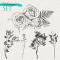 Vintage set of roses, branches and grass
