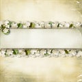 Vintage shabby background with a border of white flowers