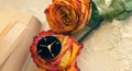 Vintage shabby black and golden watch, book and two dried red and yellow roses on  in the style of Provence. Toned and haze effect Royalty Free Stock Photo