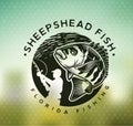 Vintage sheepshead fish emblems. and labels. Vector illustration.