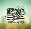 Vintage sheepshead fish emblems. and labels. Vector illustration